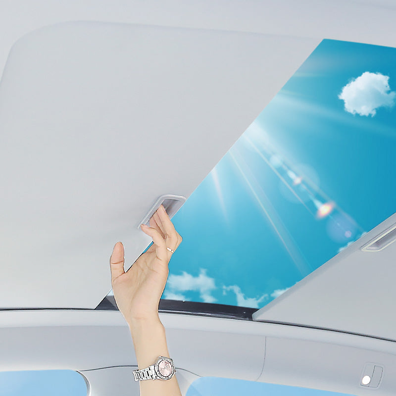 tespex tesla accessories