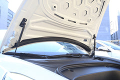 Bonnet Rain Guard Strip (Model 3)